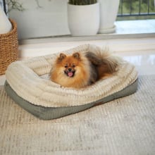 Honey Possum Pet Bed